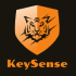 Компания Key Sense